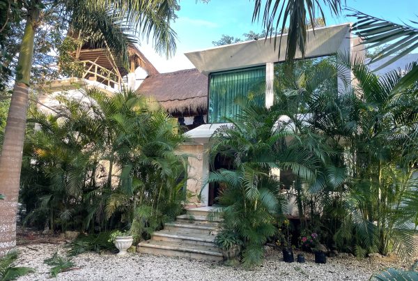 CASA TORTUGA, self sustanible house with garden